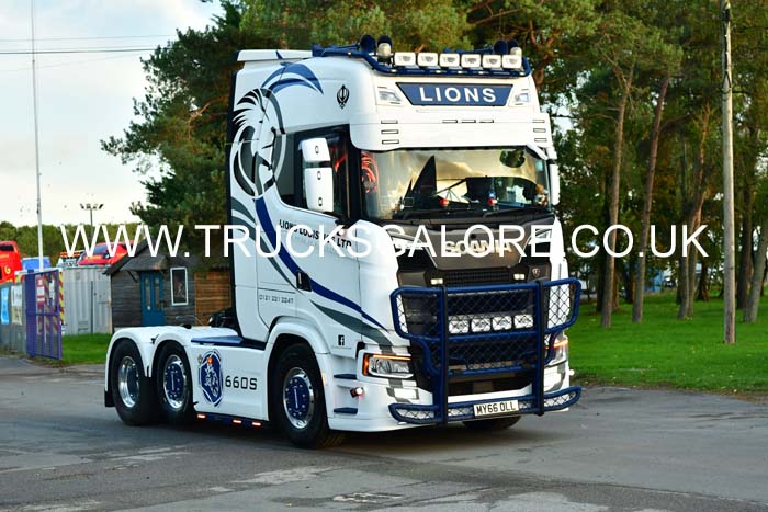 LIONS MY66 OLL 25nk1167