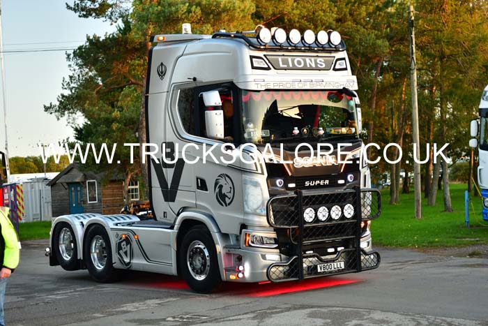 LIONS V800 LLL 25nk1114