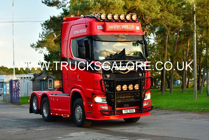 WELLS, MARK TRZ 9016 25nk1147