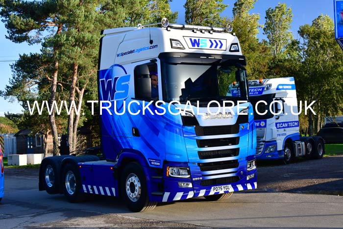 WS PO75 YGL 25nk1229