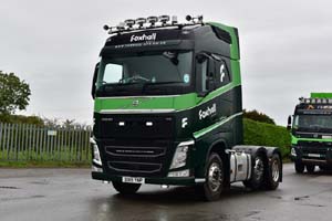 FOXHALL DX19 YNP 25nk0298