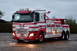 GALLOWS WOOD GW19 TOW 25nk0939