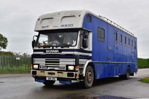 HORSES G114 VKX 25nk0352