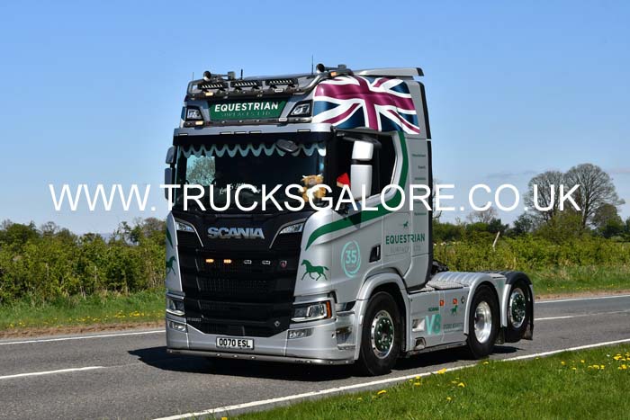 EQUESTRIAN OO70 ESL 25rv0188