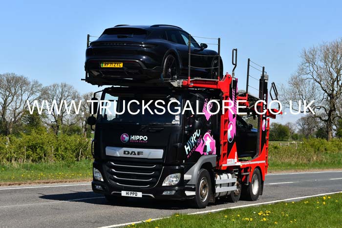 HIPPO H1 PPD 25rv0205