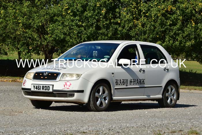 BABY SHARK Y461 RDD 25sm0351