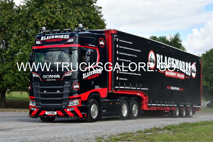 BLACKMORES T31 BMH 25sm0194