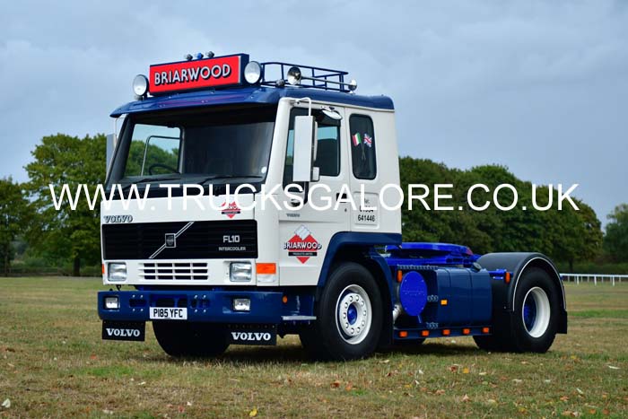 BRIARWOOD P185 YFC 25sm0003