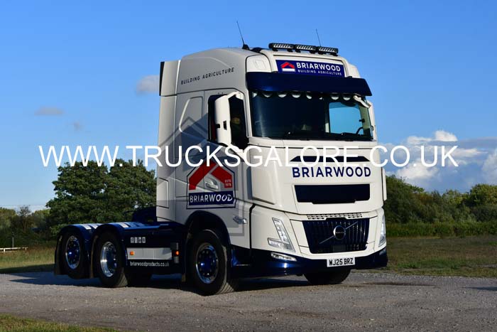 BRIARWOOD WJ25 BRZ 25sm0738