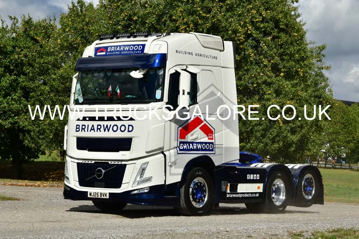 BRIARWOOD WJ25 BVK 25sm0255