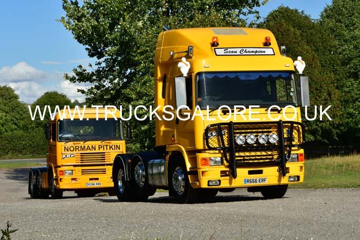 CHAMPION, SEAN R666 ERF 25sm0450