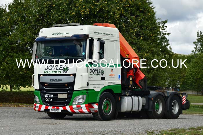 DOYLE Y80 DOY 25sm0282