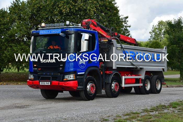 PRINGLE DD56 RAB 25sm0203