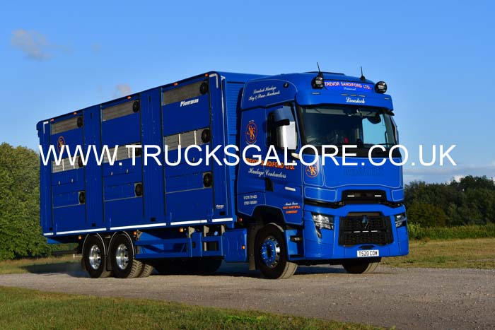 SANDIFORD T520 COW 25sm0790