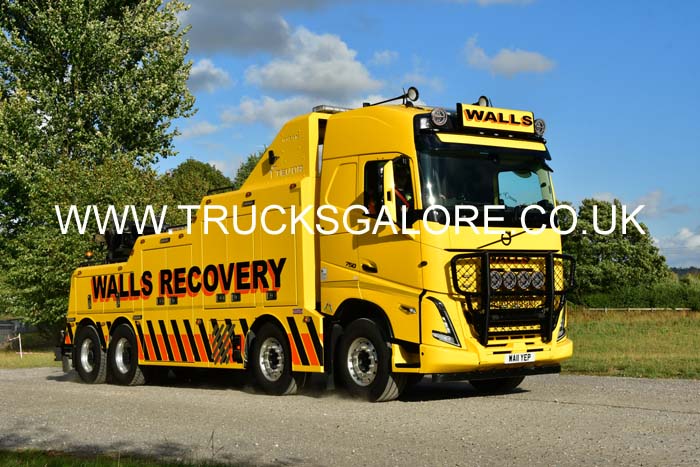 WALLS WA11 YEP 25sm0561