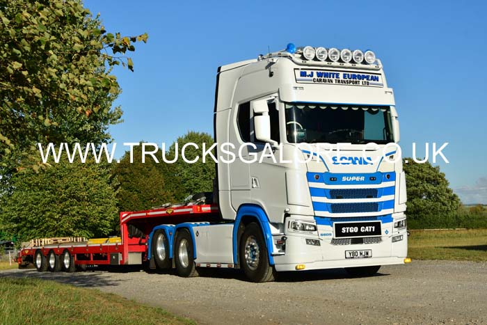 WHITE MJ, Y80 MJW 25sm0671