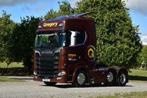 GREGORY Y100 GDL 25sm0371