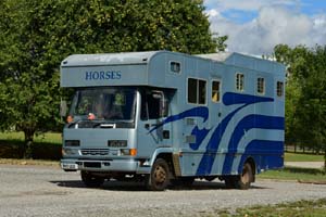 HORSES R45 UOD 25sm0235