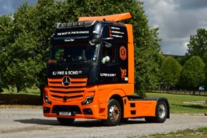 PIKE KJ, L33 KJP 25sm0140