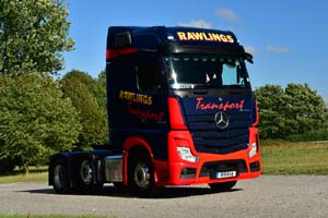 RAWLINGS R19 RAW 25sm0460