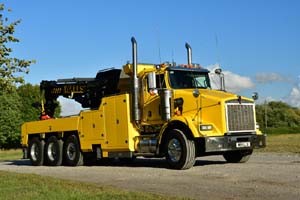 WALLS W99 LLX 25sm0640