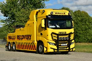 WALLS WA11 YEA 25sm0562