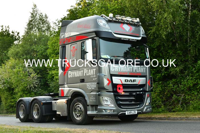 CRYNANT PLANT CA19 LZG 25tb0307