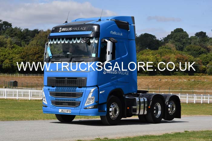 BELLIS RF, JB22 RFB 25wa0181