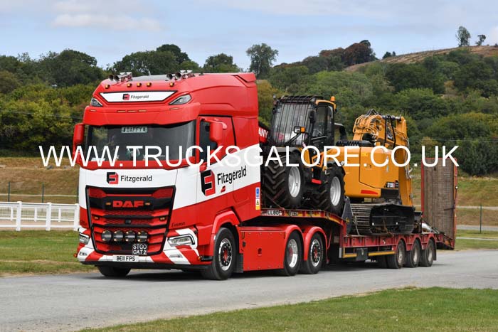 FITZGERALD BE11 FPS 25wa0117