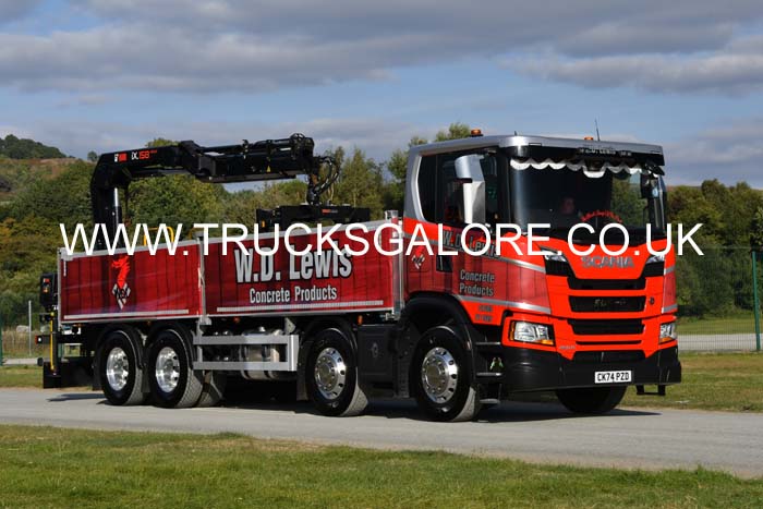 LEWIS WD, CK74 PZD 25wa0256