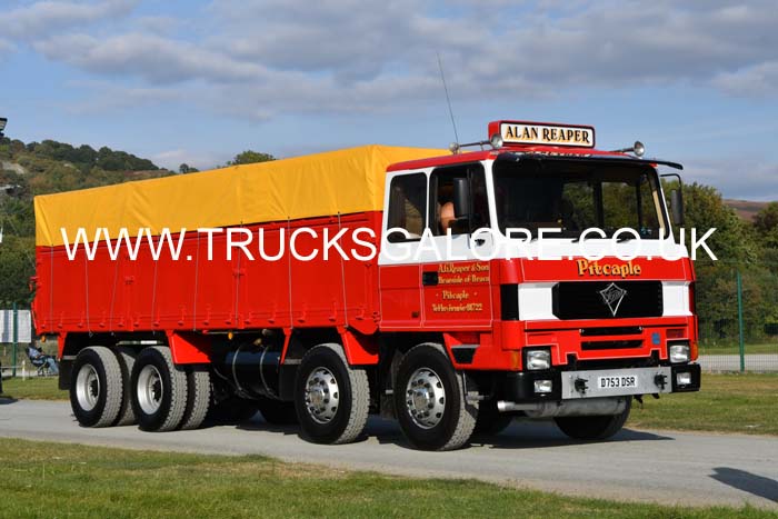 REAPER D753 DSR 25wa0262