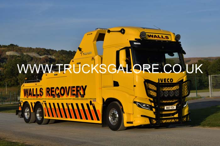 WALLS WA11 YEA 25wa0397