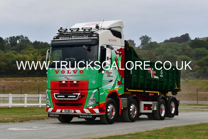 WILLIAMS B3 MOJ 25wa0483