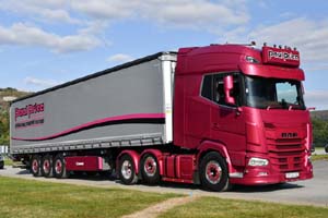 PRICE, PAUL PP25 DAF 25wa0241