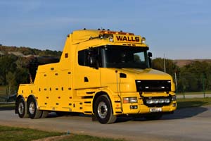 WALLS W66 LLJ 25wa0398