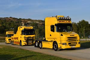 WALLS WA06 LLS 25wa0395