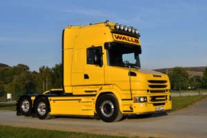 WALLS WA06 LLS 25wa0396