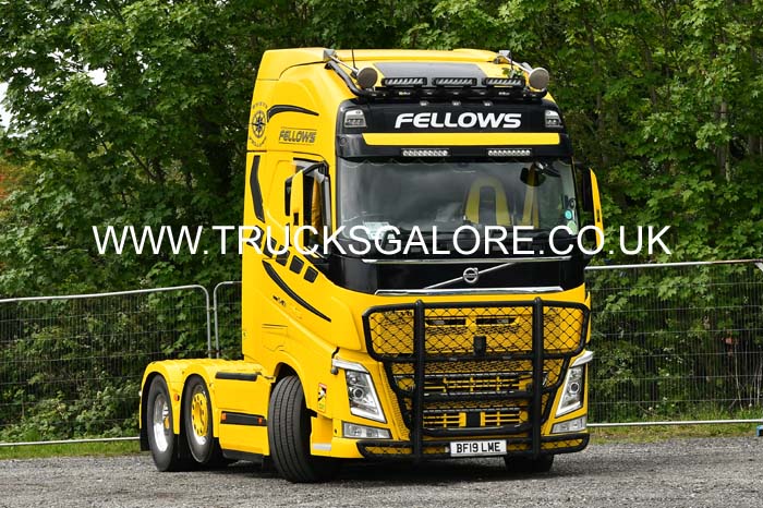 FELLOWS BF19 LME 25wc0016