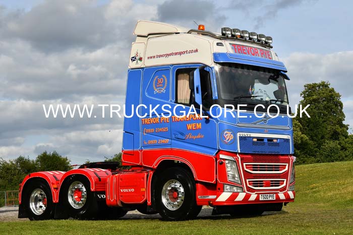 PYE, TREVOR T500 PYE 25wc0113