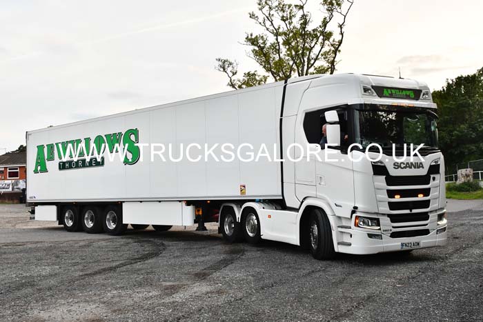 WILLOWS AE, FN23 AOW 25wc0348