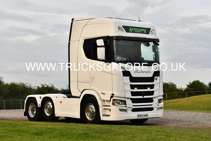 WILLOWS AE, FN23 AOW 25wc0349