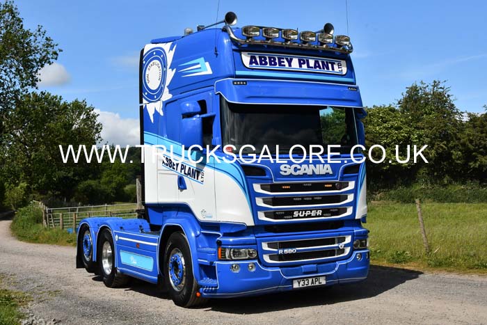 ABBEY PLANT Y33 APL 25ws0117