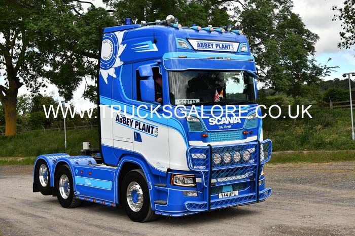 ABBEY PLANT Y44 APL 25ws0031