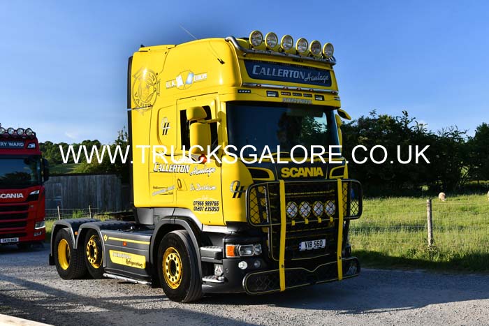 CALLERTON VIB 560 25ws0381