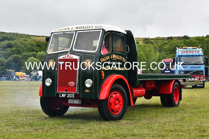 FAGAN & WHALLEY LWF 203 25ws0559