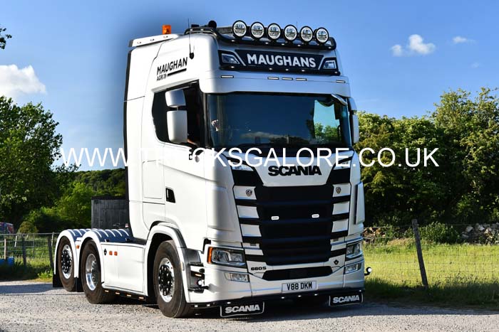 MAUGHANS V88 DKM 25ws0342