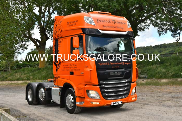 PEACOCK WK67 AYW 25ws0024