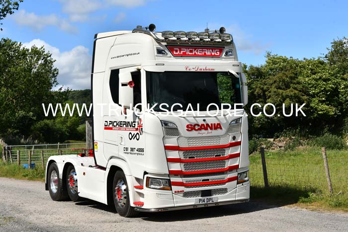 PICKERING D, P14 DPL 25ws0164