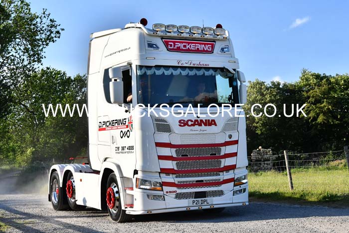 PICKERING D, P21 DPL 25ws0366