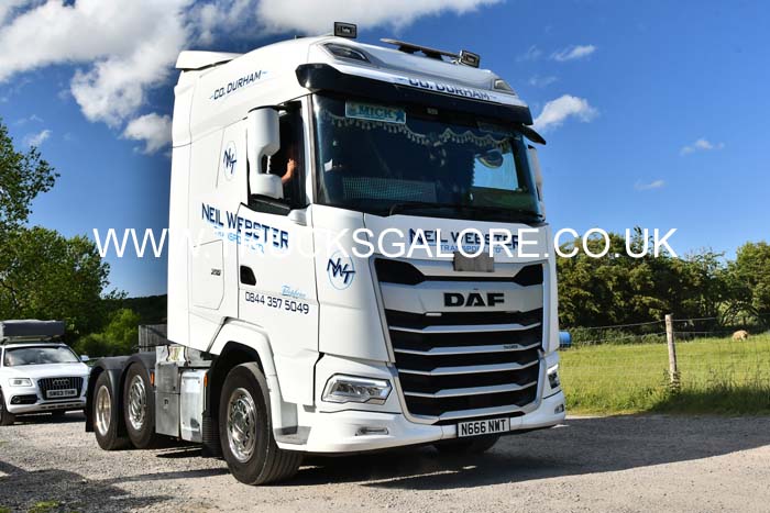 WEBSTER, NEIL N666 NWT 25ws0277